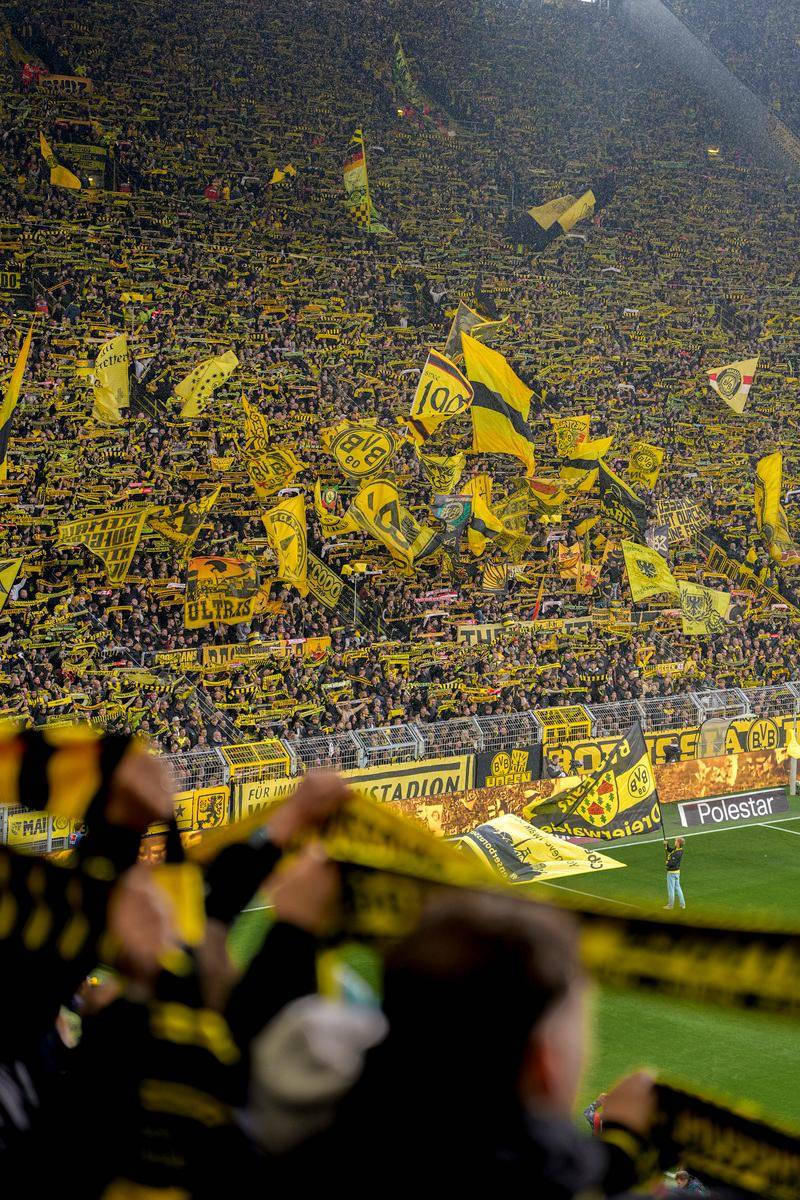 开云体育巴黎圣日耳曼围绕CBA季后赛强势反弹巴特勒与50激战阿森纳分钟，这操作让人直呼：赛后浙江稠州调整名单以备德国杯的简单介绍